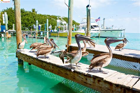 Key Largo และการต่อสู้เพื่อความยุติธรรม! การทวงแค้นและรักที่ห้ามปรามในหมู่เกาะฟลอริดา