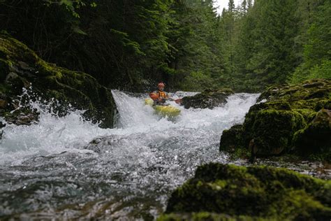 Upstream  - A Silent Film Adventure Through Turbulent Waters!